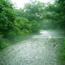 2016년 5월 3일 화요일 광릉수목원 "소풍+출사+산림욕"과 함께하는 [음방벙개] 이미지