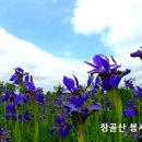 제1539호 이미지