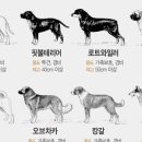 도서출판 밝은비