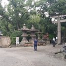 고달할머니 이미지