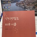 하루와이틀 이미지