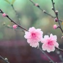 튼튼공인중개사사무소 이미지