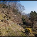 회원동335 이미지