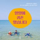 양양에 살다 이미지