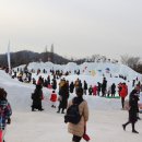 복돼지동산 이미지