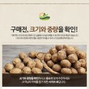 2015년 노지 햇 수미감자 5kg 10kg 아주 착한 가격으로 공동구매합니다 이미지