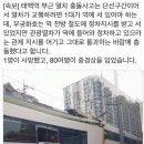 속보)태백과 문곡역사이 무궁화열차와 관광열차가 충돌 5시50분경 이미지