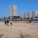 청양백세