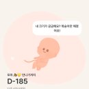 JL 헬스케어 | [#발리여행] 임신 12주차 6박 8일 발리여행❤️ 1편: 임밍아웃과 여행 준비 및 발리 입국 후기