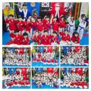 고려대한얼태권도장 이미지