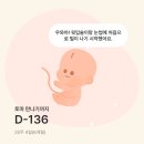 대전식육점 | [임신20-21주] 21w5d 순병원 정밀초음파 입체초음파 후기 21주 태동
