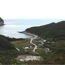 돌핀호 Daum카페