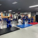 용인대 원탑유도 이미지