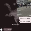 영웅헬스클럽 | 혼쓰야마 시작, 마쓰야마 4월 한국인 쿠폰
