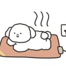 왕세숫대야냉면 왕돈까스 금촌점 이미지