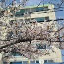 대도큰섬마을어린이공원 이미지