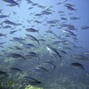 샘터낚시터 이미지