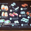 시마스시 이미지