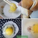 숲속청계농장