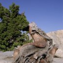 뻥튀기공원 이미지