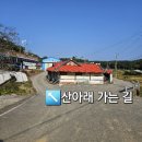 산아래펜션 | 당진 산아래 애견동반 숙소 한옥독채 펜션 후기