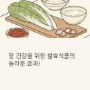 발효식품 | 2주 만에 화장실 걱정 끝! 장 건강 바꾸는 발효식품 총정리 🌿