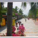 주암초등학교 이미지