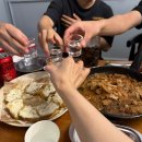 131게스트하우스 | 제주 주택 로컬 감성 알멩이 게스트하우스 내돈내산 솔직후기 소규모 게하파티 애월숙소