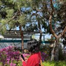 도원네거리(6단지앞) | [북한강 카페] 양평디저트 천년찻집 남양주 개성주악 전통다식 후기