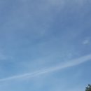 중랑캠핑숲 이미지