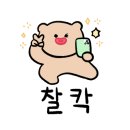 논스케일드(NONscaled) 네이버블로그