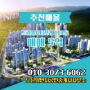 트리풀시티공인중개사사무소 | 노은일번지공인중개사사무소 트리풀시티포레 101동 매매 5억 추천