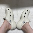 (아홉번째) 충주 성서점 크록스 매장에서 통굽 크록스 구입했다! (+클래식 플랫폼 클로그 우먼 220사이즈)
