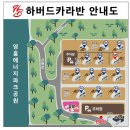 하버드카라반 이미지