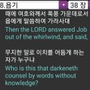 대풍목장 이미지