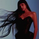 "살이 너무 빠진 거 아니야" 리사, 뉴욕패션위크 등장한 뒤 갈비뼈까지 드러난 파격 패션으로 전 세계...