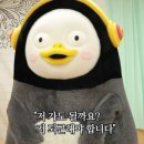 쪼계찜닭 이미지