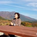 김해기적의도서관 이미지