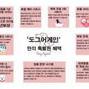 도그어게인 이미지