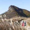 소계동110 | 시티전자담배] 전자담배 액상추천 디톡스 하이민트 알로에베라 / 하이민트 핑크 전자담배 액상리뷰&amp;후기