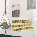 해치커피 이미지