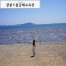 옹암해수욕장 야영장 이미지