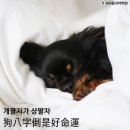 개편한세상 이미지