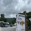419 산방착한낙지 이미지