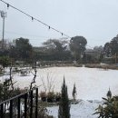 경미농장 이미지