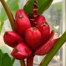 아산가든 이미지