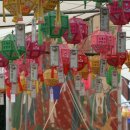 순천-65호 이미지