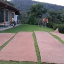 감물시골밥상 이미지