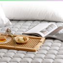 2606 | 보국전자 에어셀 피치스킨 전기요 BKB2606S