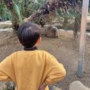 주황 | 천사와 춤을 *(^o^)/*